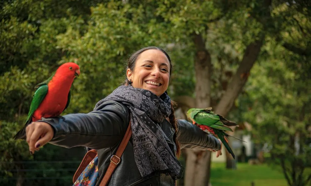 Great Ocean Road, Penguin Parade & City Tour | Experience Oz-6