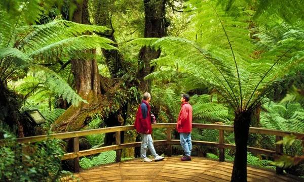 Great Ocean Road, Penguin Parade & Melbourne City Tour