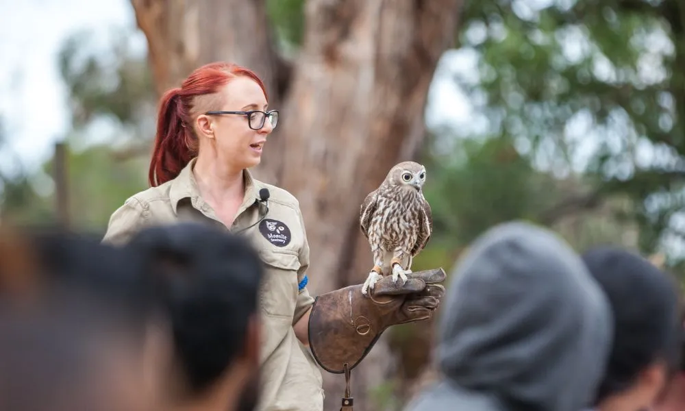 Great Ocean Road, Penguin Parade & City Tour | Experience Oz-12