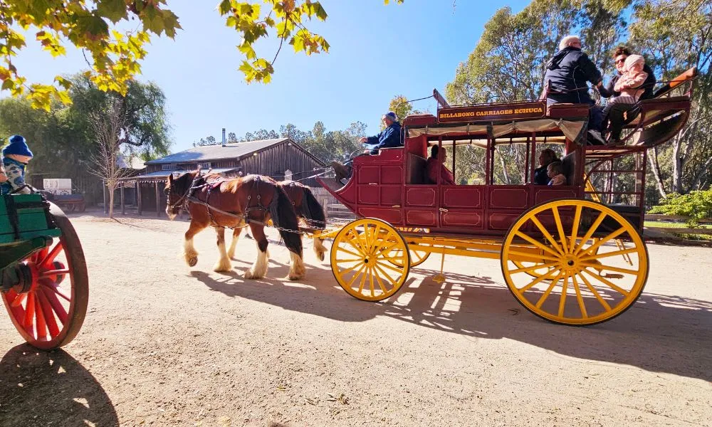 Murray River Cruise, Wildlife & Wine Tour | Experience Oz-6