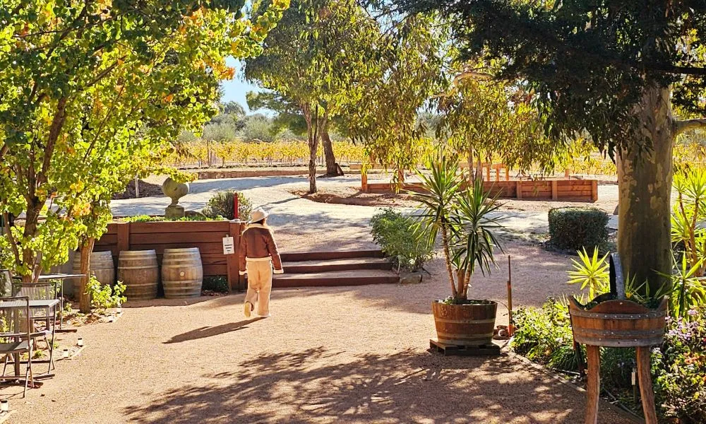 Murray River Cruise, Wildlife & Wine Tour | Experience Oz-7