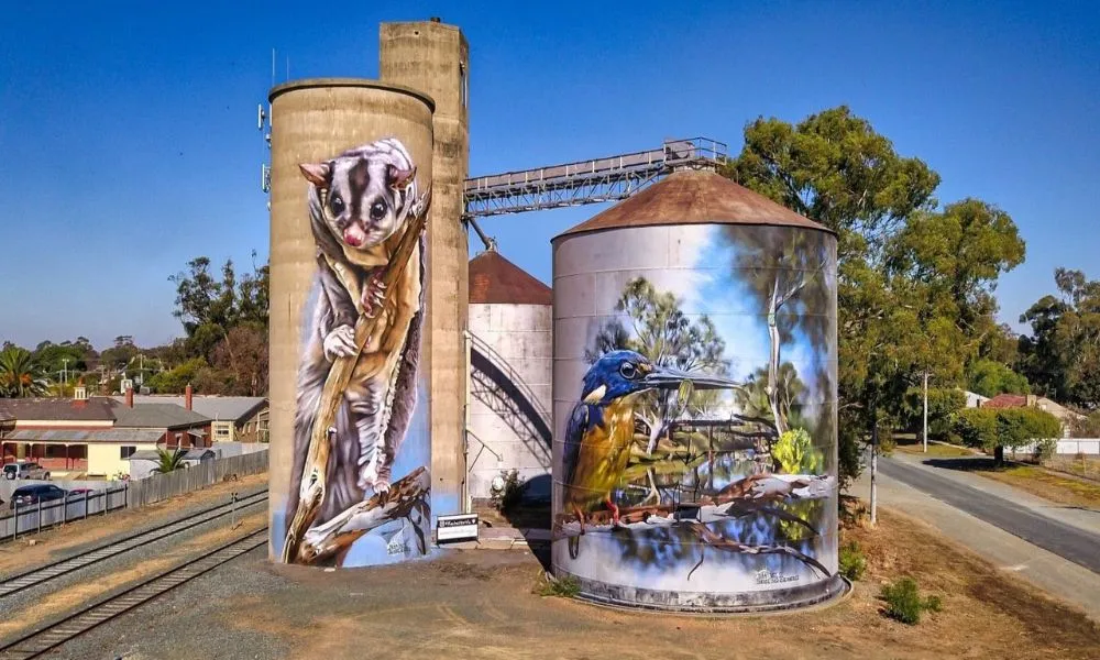 Murray River Cruise, Wildlife & Wine Tour | Experience Oz-3