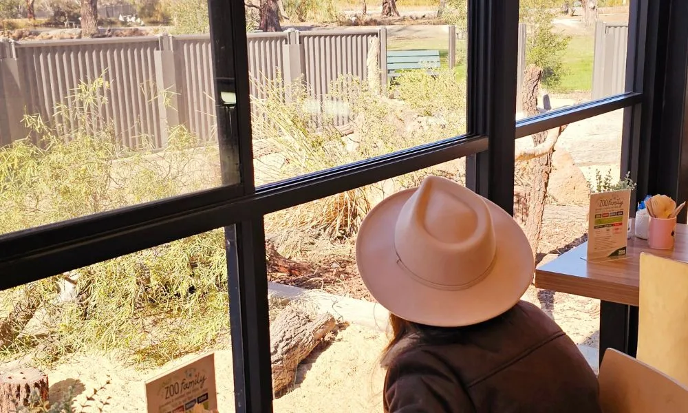 Murray River Cruise, Wildlife & Wine Tour | Experience Oz-9