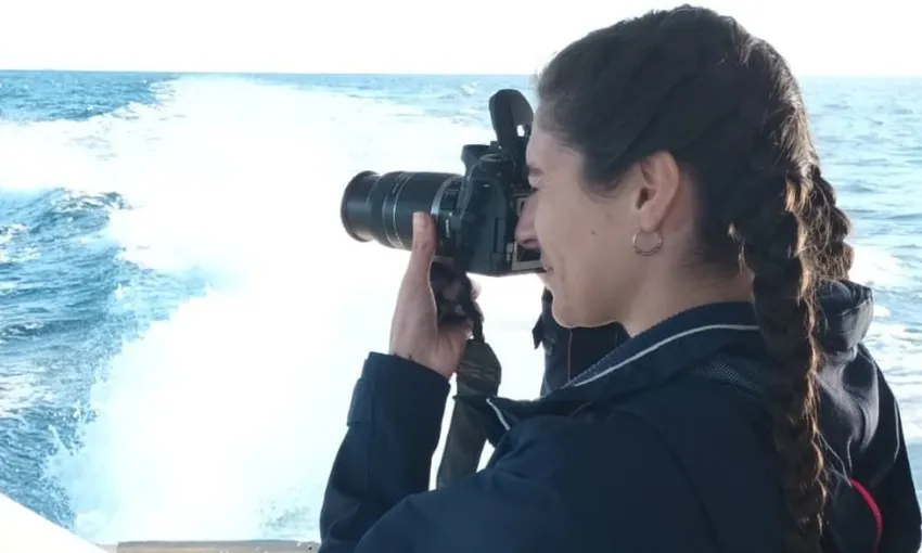 Gold Coast Whale Watching Tour - 2.5 Hours | Experience Oz