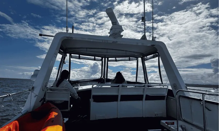 Gold Coast Whale Watching Tour - 2.5 Hours | Experience Oz