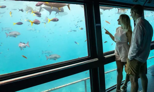 Luxury Great Barrier Reef Adventure, Half Day - Cairns