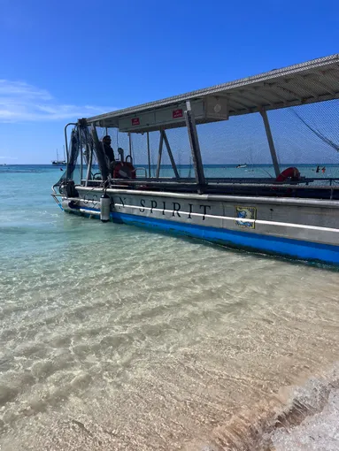 Michaelmas Cay Cruise & Snorkel, Full Day - Cairns