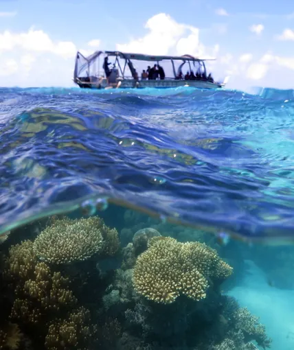 Michaelmas Cay Cruise & Snorkel, Full Day - Cairns