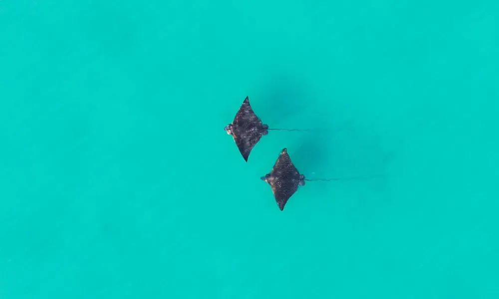 Darwin Harbour 4 Course Dinner Cruise | Experience Oz-7