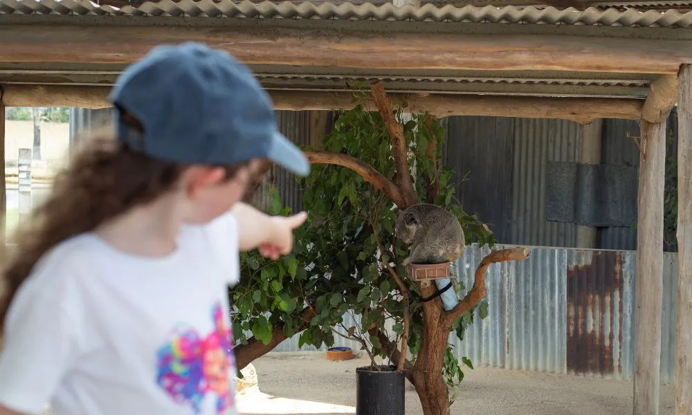 Hunter Valley Tasting & Wildlife Day - For 4 | Experience Oz-11