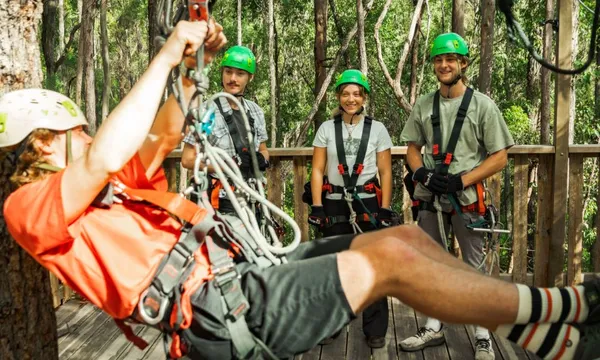 TreeTop Challenge Tamborine Zipline & High Ropes Combo