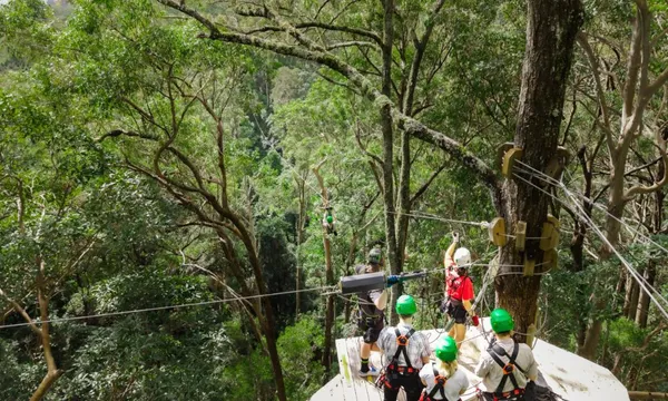 TreeTop Challenge Tamborine Zipline & High Ropes Combo