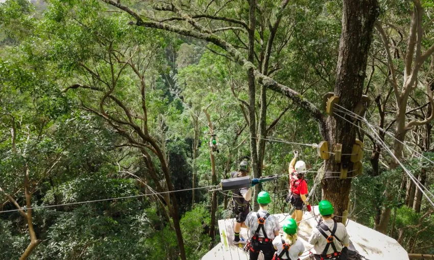Tamborine Mountain Zipline & High Ropes Combo | Experience Oz