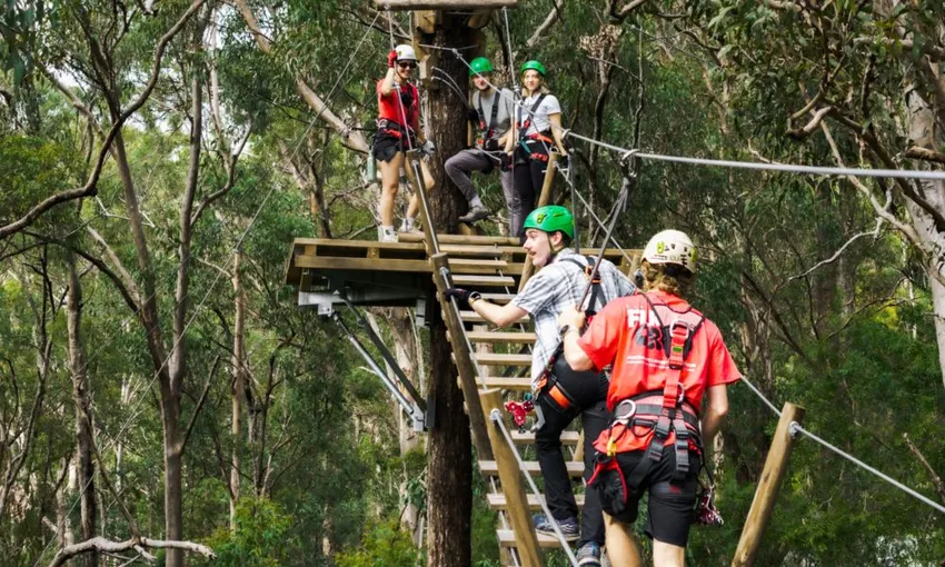 Tamborine Mountain Zipline & High Ropes Combo | Experience Oz
