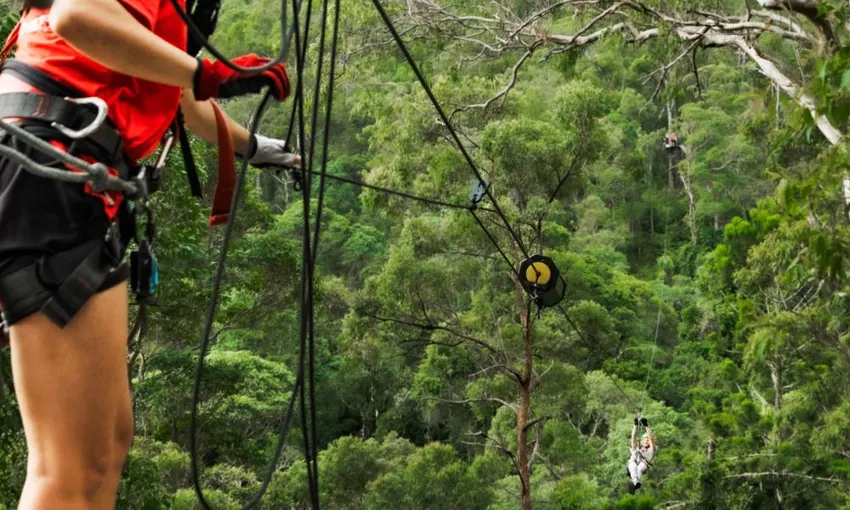 Tamborine Mountain Zipline & High Ropes Combo | Experience Oz