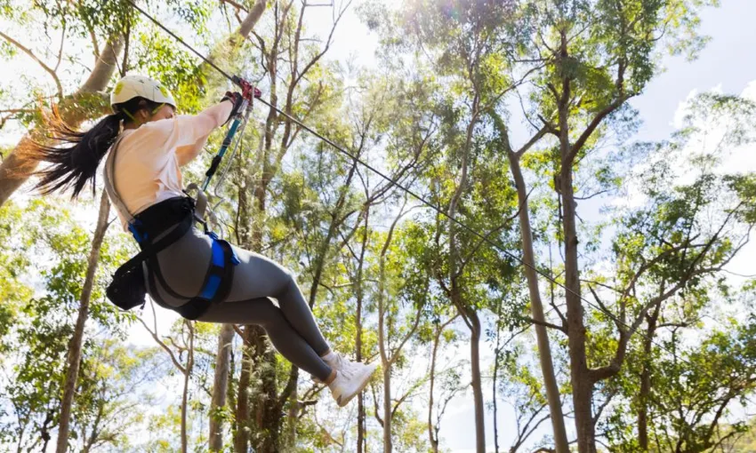 Tamborine Mountain Zipline & High Ropes Combo | Experience Oz