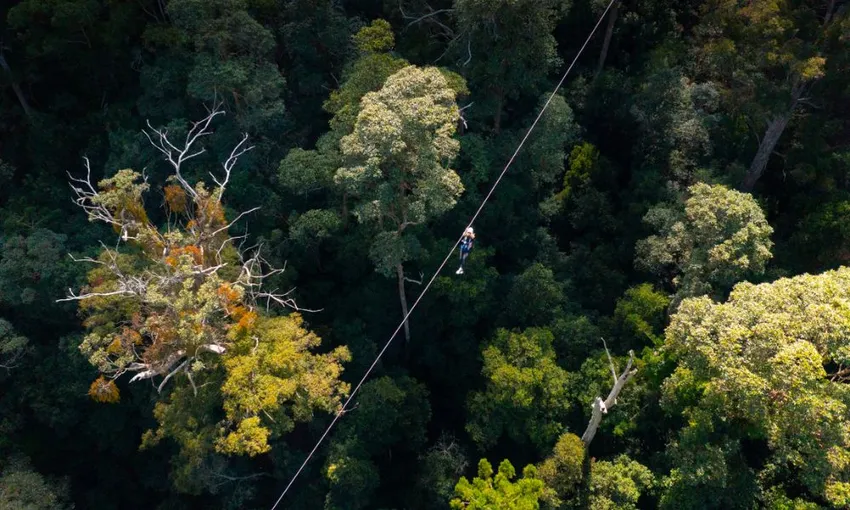 Tamborine Mountain Zipline & High Ropes Combo | Experience Oz