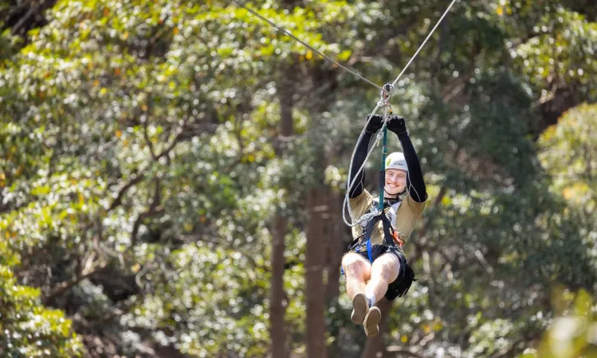 Tamborine Mountain Zipline & High Ropes Combo | Experience Oz