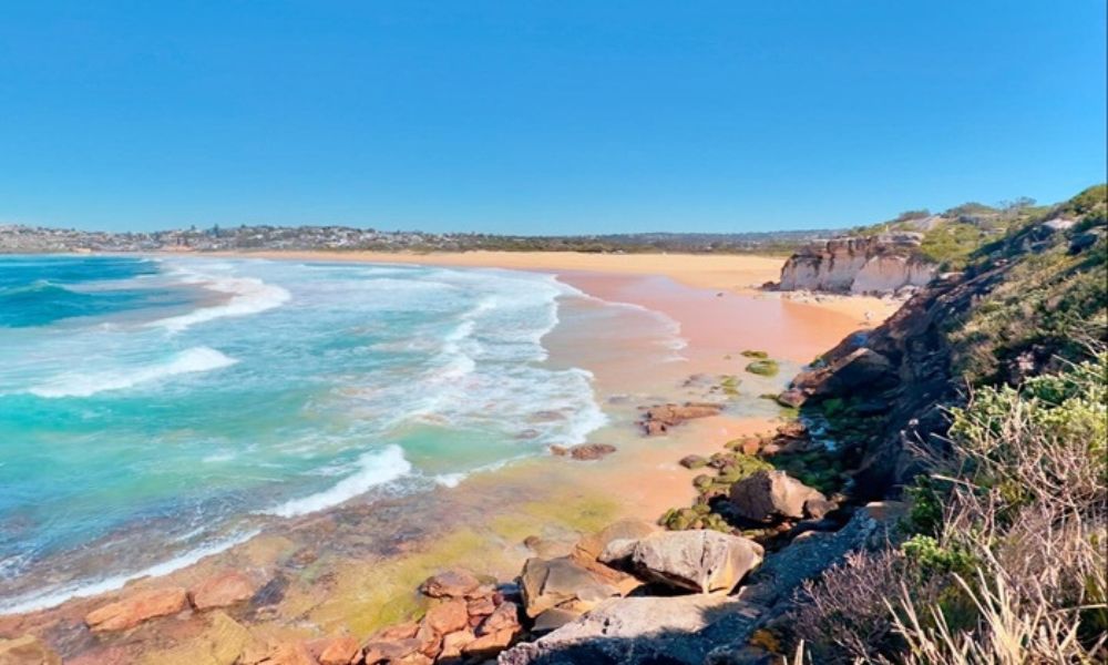 Northern Beaches & Wildlife Private Tour, Full Day - Sydney