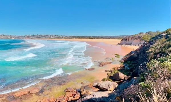 Northern Beaches & Wildlife Private Tour, Full Day - Sydney