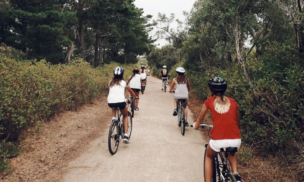 Point Nepean Bike Hire - 3 Hours | Experience Oz-2