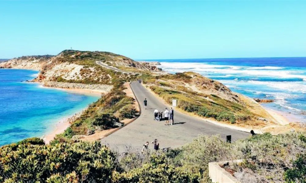 Point Nepean Bike Hire - 3 Hours | Experience Oz-4
