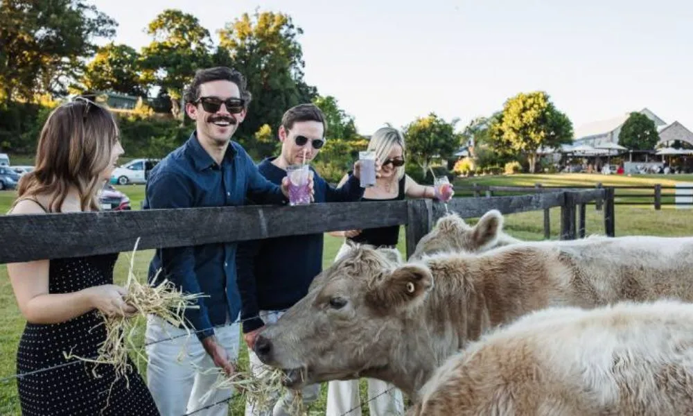 Husk Farm Distillery Experience - 90 Minutes | Experience Oz-1