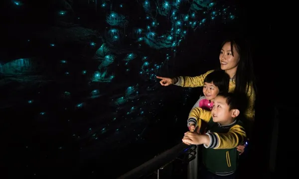 Ruakuri Cave Guided Tour - 90 Minutes