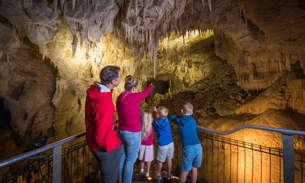 Ruakuri Cave Guided Tour - 90 Minutes | Experience Oz + NZ-2