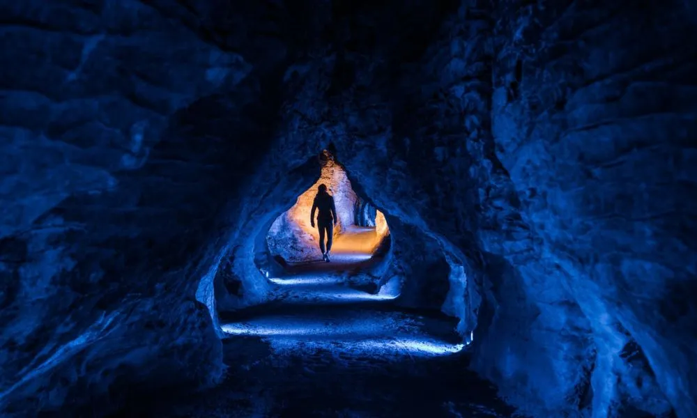 Ruakuri Cave Guided Tour - 90 Minutes | Experience Oz + NZ-4