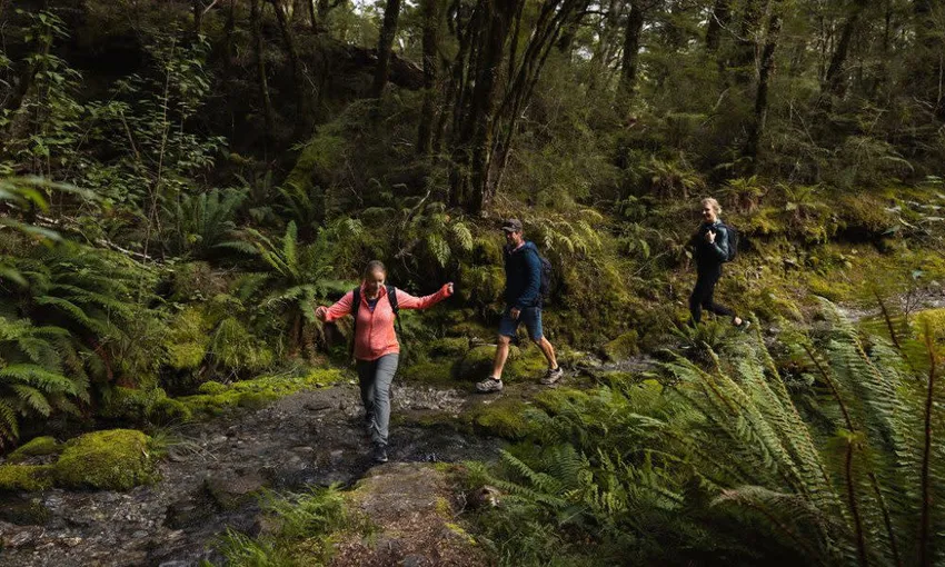 Southern Alps Helicopter, Hike & Jet Boat | Experience Oz + NZ