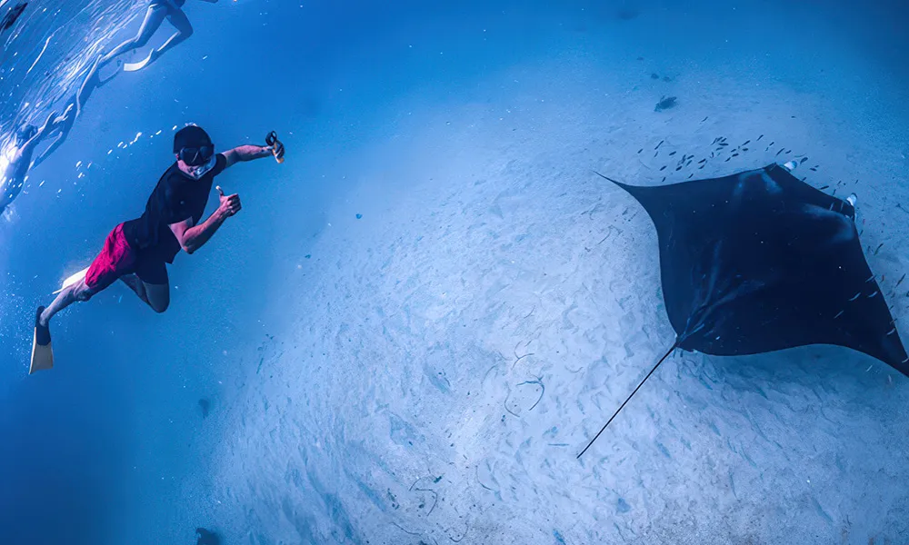 Coral Bay Manta Ray Eco Safari - Full Day | Experience Oz-3