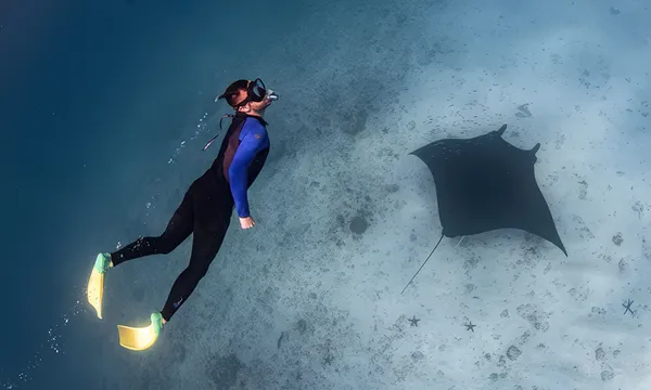Coral Bay Manta Ray and Ningaloo Reef Eco Safari - Full Day