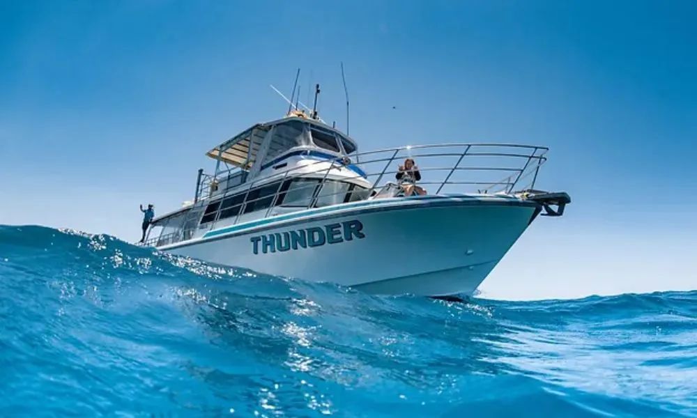 Coral Bay Whale Watching Cruise - 3 Hours | Experience Oz-6
