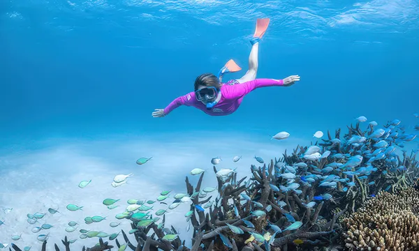 Ningaloo Reef Coral Viewing and Snorkelling - 2 Hours