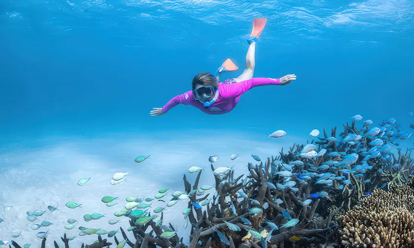 Ningaloo Coral Viewing & Snorkelling - 2 Hours | Experience Oz