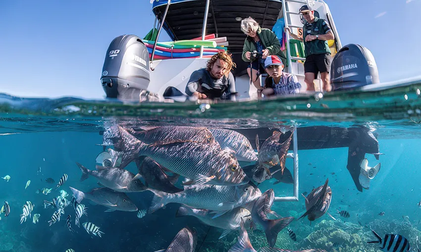 Ningaloo Coral Viewing & Snorkelling - 2 Hours | Experience Oz