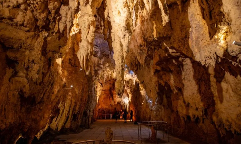 Hobbiton & Waitomo Caves Tour from Auckland | Experience Oz + NZ-8