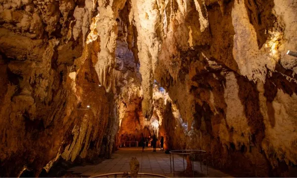 Hobbiton & Waitomo Caves Tour from Auckland