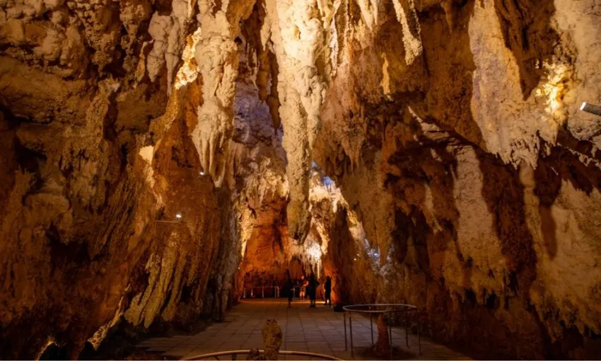 Hobbiton & Waitomo Caves Tour from Auckland | Experience Oz + NZ