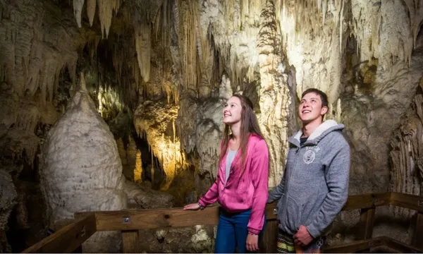 Hobbiton & Waitomo Caves Tour from Auckland