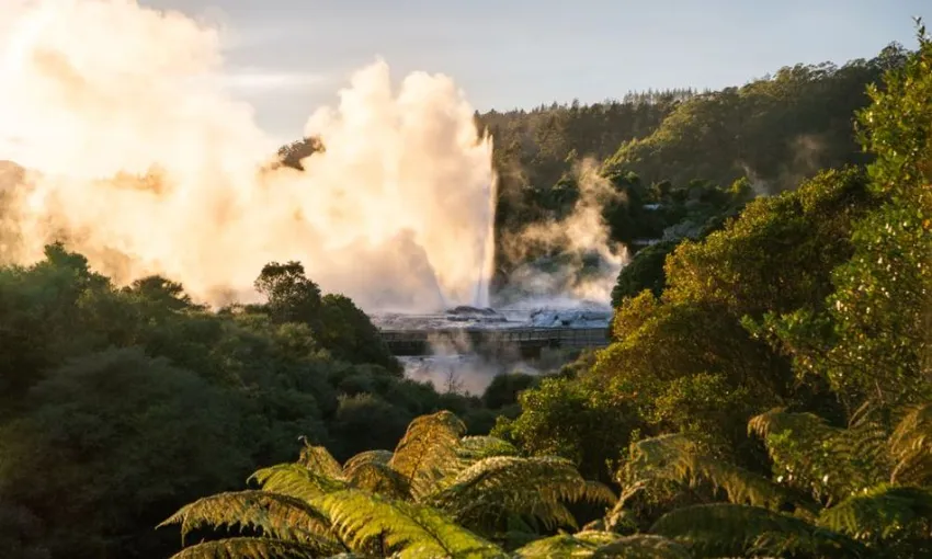 Auckland to Hobbiton & Rotorua Te Puia Tour | Experience Oz + NZ