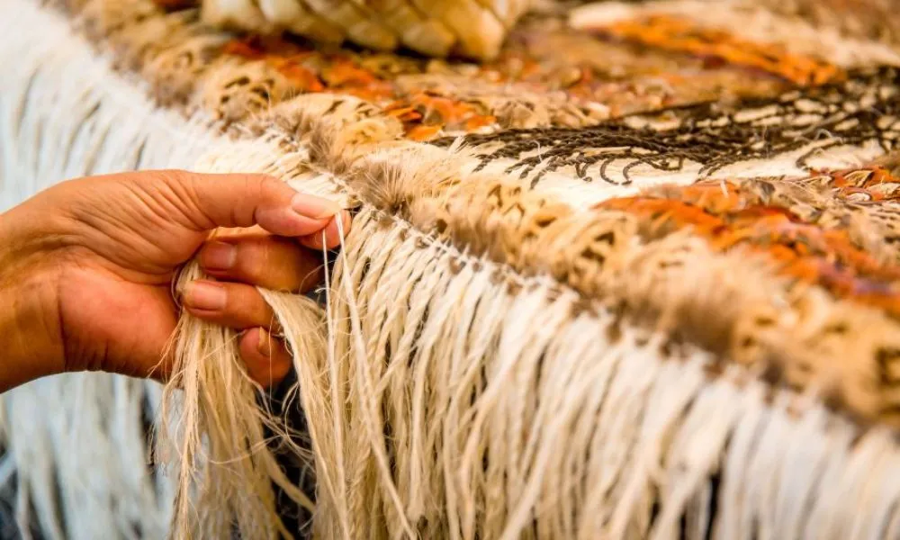 Auckland to Hobbiton & Rotorua Te Puia Tour | Experience Oz + NZ-7