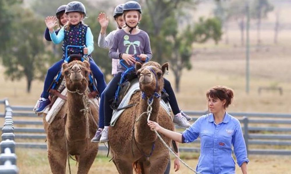 Caravan Camel Ride, 10 Minutes - Harrisville