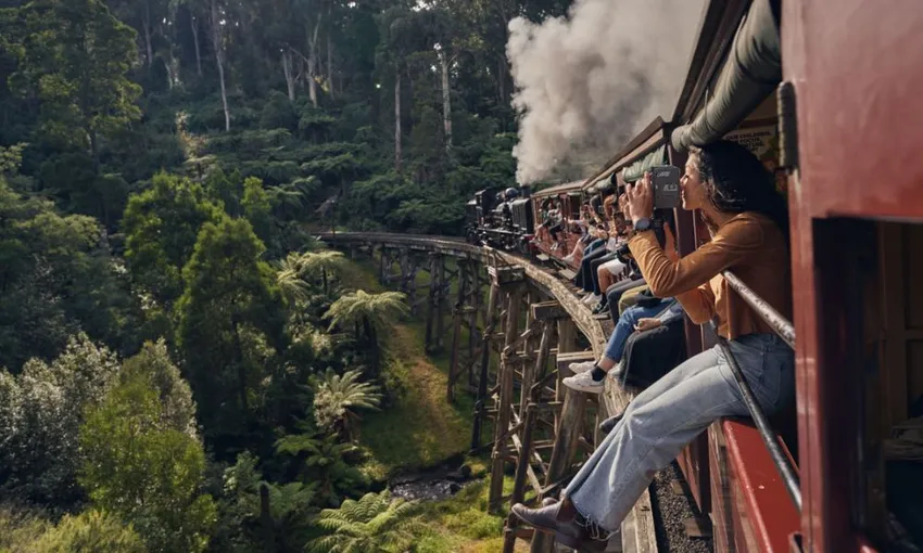 Full Day Puffing Billy Railway & Rainforest Tour | Experience Oz