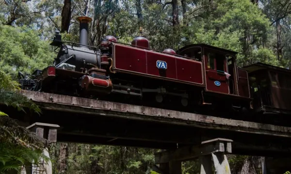 Puffing Billy Railway & Rainforest Tour - Full Day