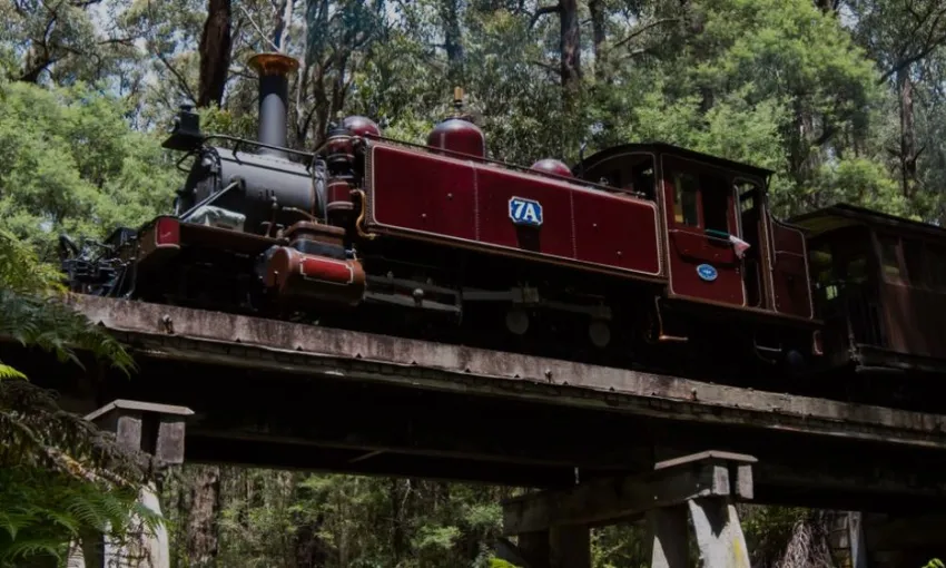 Full Day Puffing Billy Railway & Rainforest Tour | Experience Oz