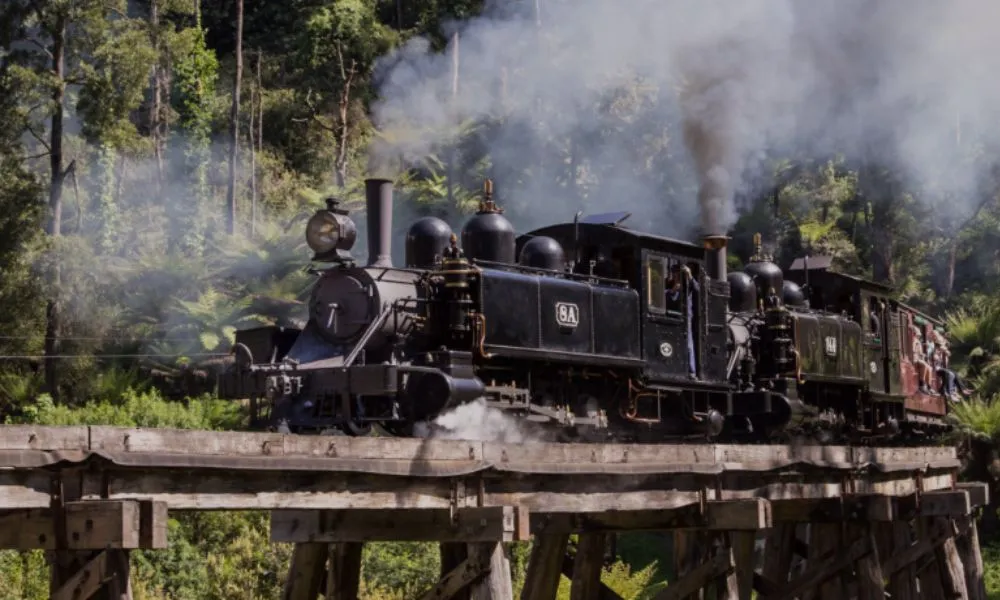 Full Day Puffing Billy Railway & Rainforest Tour | Experience Oz-6