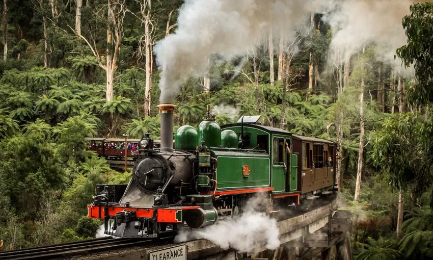 Full Day Puffing Billy Railway & Rainforest Tour | Experience Oz
