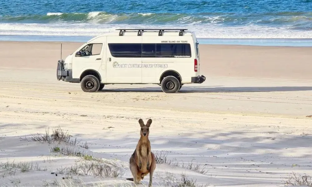 4WD Beach & Bunker Tour Bribie Island - 3 Hours | Experience Oz-1